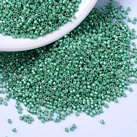 MIYUKI Delica Beads X-SEED-J020-DB1182-1
