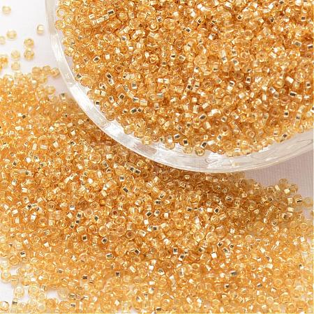 12/0 Round Glass Seed Beads SEED-J018-F12-62-1