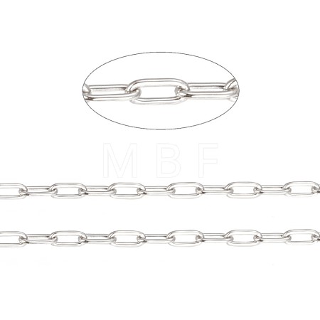 Tarnish Resistant 304 Stainless Steel Paperclip Chains CHS-F010-01A-P-1