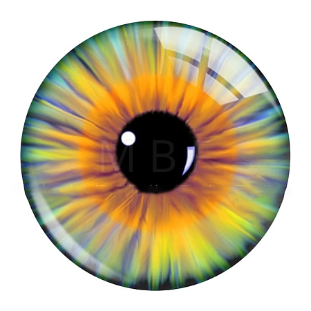 Mixed Animal Eye Pattern Glass Cabochons AJEW-WH0070-08E-1