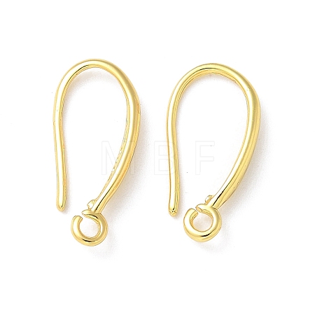 Brass Earring Hooks LS-KK-A236-13G-1