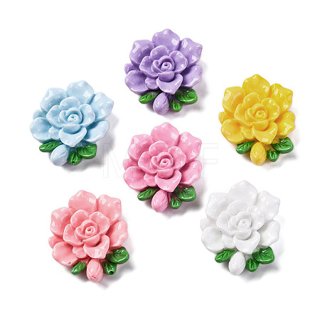 Opaque Resin Cabochons RESI-R455-01G-1