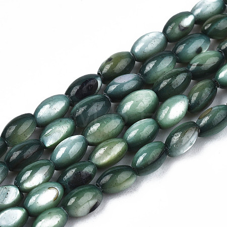 Natural Freshwater Shell Beads Strands X-SHEL-N003-25-B01-1