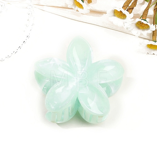 Resin Claw Hair Clips PW-WG0E0E6-09-1