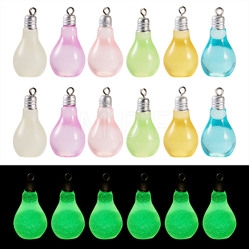  48Pcs 6 Colors Opaque Resin Pendants RESI-TA0002-01-1