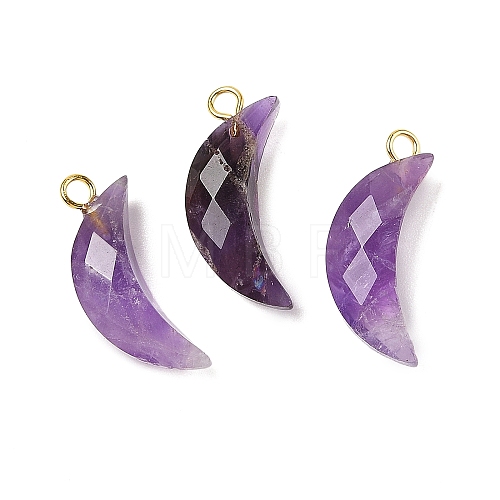 Natural Amethyst Pendants G-L614-D05-G05-1