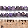 Natural Charoite Beads Strands G-C270-O02-04-5
