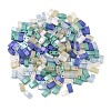 Glass 2-Hole Baking Paint Glass Seed Beads GLAA-G130-01E-2