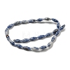 Natural Blue Spot Beads Strands G-A223-A06-01-3