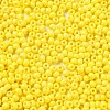 Baking Paint Glass Seed Beads SEED-H002-I-A532-3