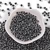 Glass Seed Beads SEED-A032-05A-2