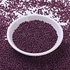 MIYUKI Round Rocailles Beads SEED-X0054-RR0313-2