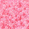 Glass Seed Beads SEED-H002-H-1309-3