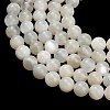 Natural White Moonstone Beads Strands G-L664-A01-8mm-A-3