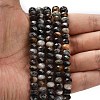 Natural Gemstone Beads Strands G-Z111-A34-2