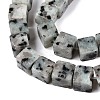 Natural Sesame Jasper/Kiwi Jasper Beads Strands G-T139-8x8-01A-3