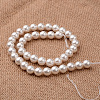 Polished Round Grade A Shell Pearl Bead Strands X-BSHE-M027-10mm-28-2