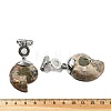 Natural Quartz Crystal Fossil Snail Pendants G-F062-01-4