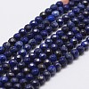 Natural Lapis Lazuli Beads Strands G-G736-22-4mm-1