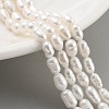 Natural Cultured Freshwater Pearl Beads Strands PEAR-P062-04C-2
