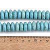 Dyed Natural Magnesite Beads Strands G-B173-A01-02-5
