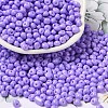 6/0 Opaque Baking Paint Glass Seed Beads X1-SEED-M012-02A-09-1