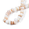 Natural Trochid Shell/Trochus Shell Beads Strands SHEL-S258-081-A01-4