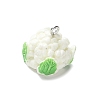 Resin Iron Pendants LS-RESI-D280-07-2