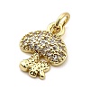 Brass Micro Pave Cubic Zirconia Charms KK-C134-30G-2