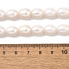 Natural Cultured Freshwater Pearl Beads Strands PEAR-I007-01E-04A-5