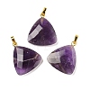 Natural Gemstone Pendants G-L614-D04-G-2