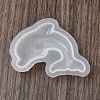 DIY Silicone Molds SL-CBAA8E0-01F-5