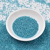 MIYUKI Delica Beads SEED-X0054-DB2382-2