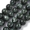 Natural Seraphinite Beads Strands G-C270-O01-13-2