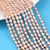 Natural Cultured Freshwater Pearl Beads Strands PEAR-F020-11-1