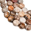 Natural Fossil Coral Beads Strands GG-CBA362F-02-3