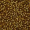 TOHO Round Seed Beads SEED-XTR11-0022CF-2