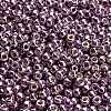 TOHO 6/0 Round Beads X-SEED-TR06-PF0554-4