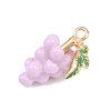 Fruit Alloy Enamel Pendants ENAM-P264-02G-G04-3