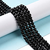 Natural Black Onyx Beads Strands G-E203-01-2