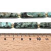 Natural African Turquoise(Jasper) Beads Strands G-D353-A09-5