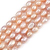 Natural Cultured Freshwater Pearl Beads Strands PEAR-P064-20I-05D-2