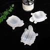 Tortoise Natural Selenite Crystal Ball Holders PW-WG56444-01-3