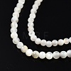 Natural White Shell Bead Strands X-SSHEL-N003-144A-01-3