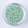 Pearlized Cylinder Seed Beads SEED-Q036-02A-E02-2