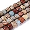 Natural Shoushan Stone Beads Strands G-Q616-02A-04-2