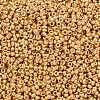 MIYUKI Round Rocailles Beads X-SEED-G009-RR4202-3