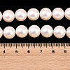 Electroplated Shell Pearl Beads Strands BSHE-C011-01C-4