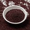 MIYUKI Round Rocailles Beads SEED-G009-RR0419-2