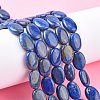 Natural Lapis Lazuli Beads Strands G-K311-12B-02-6